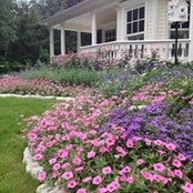 Elaine Hillenburg's photo