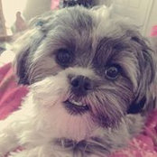 Amy Fite's photo