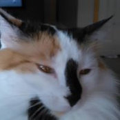 June Hansen's photo