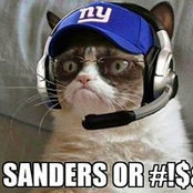 Rob Sanders's photo