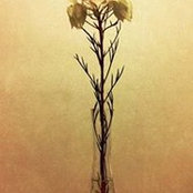 Ka Chun Ying's photo