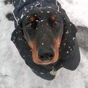 Paola Spinoglio's photo