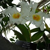 Krystyna Marini's photo