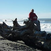 Bob Sheffield's photo
