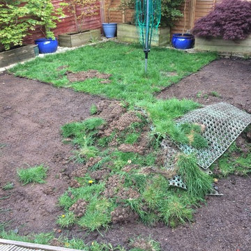 Pet Friendly Artificial Grass
