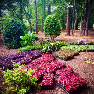 Spring and Summer Annuals Landscape Beds