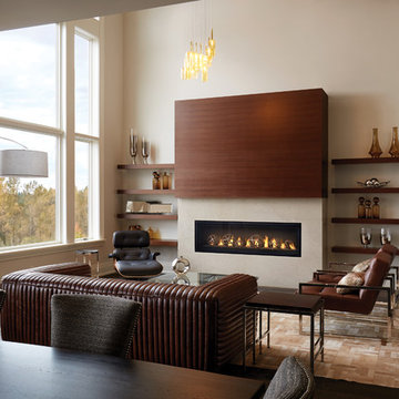 Napoleon Fireplace Gallery