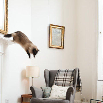 Mezzanine Apartment in Edinburgh's West End