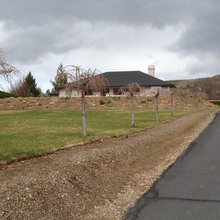 Landscape Ideas