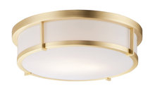 Flush-Mount Ceiling Lighting