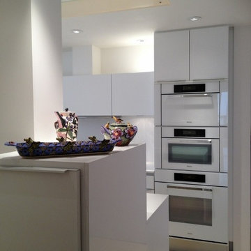 Galleria, high-rise Poggenpohl kitchen renovation in the Four Leaf Towers