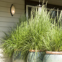 HORTICULTURE ET PRATIQUES