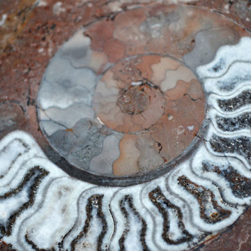 Fossil Marble Table Tops