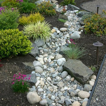 Rain Gardens