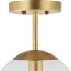 Globe Ceiling Light, Clear Glass With Brass Finish