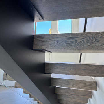 Steel and Glass Design- Tortoise Island