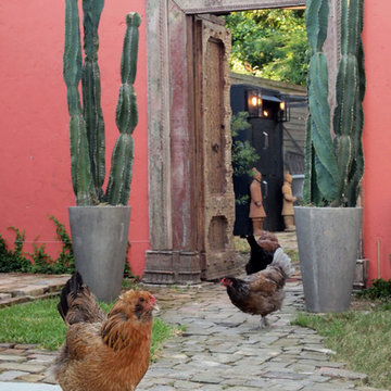 My Houzz: A Personal Vision for a New Orleans Home