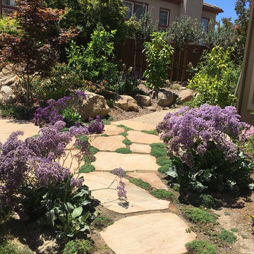 Almaden Valley