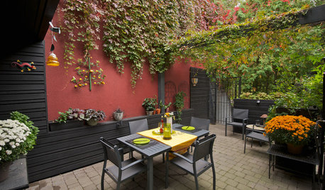 Backyard Ideas on Houzz: Tips From the Experts