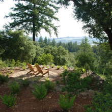 under tree