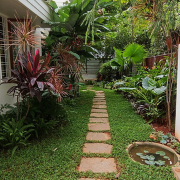 Susan's Garden Makeover