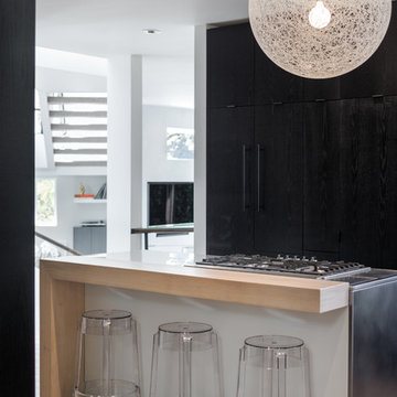 Bird's Nest Modern Living