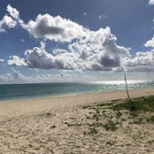 Lauren Poole-Murray's photo