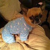 Lisa Quick's photo