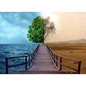 Cheryl Haddad's photo