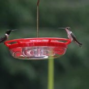 Marian Hickman's photo