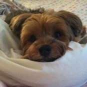 Jill Cannon's photo