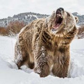 Ozkan Ozcan's photo