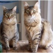 Pat Grzenia's photo