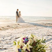 Amanda Gish's photo