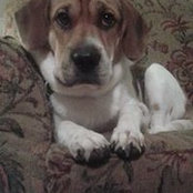Shelly Navis-Andrews's photo