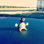 Judy Wang's photo