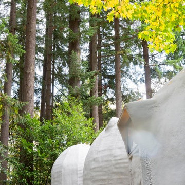 Hobbit House Domes and Forrest