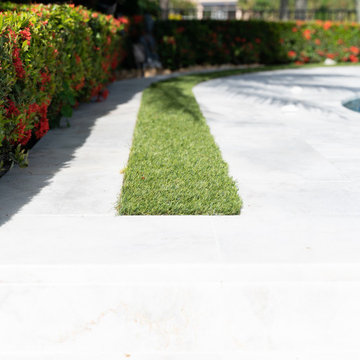 Paved Paradise
