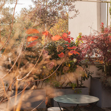 Une terrasse à Paris...