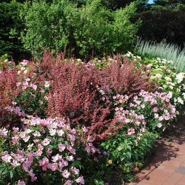 Annuals & Perennials