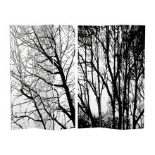 screens