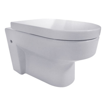 Eago WD101 Wall Mounted Toilet