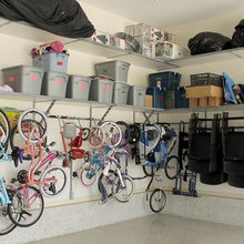 Organization