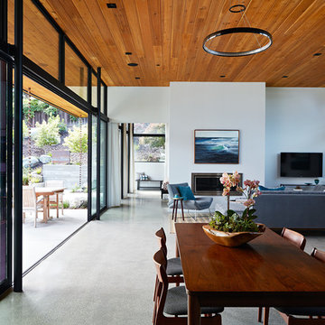 Glass Wall House