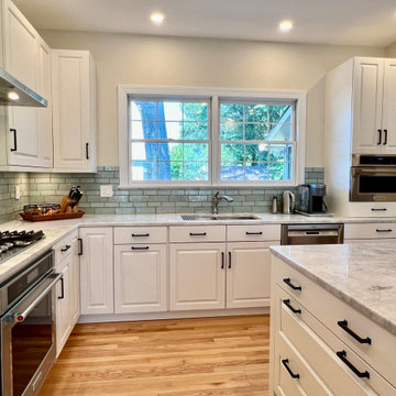 Clarendon Whole House Remodel - Kitchen & Main Level
