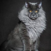 Foto von أبو أصيل