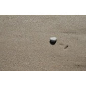 Nadia Stefano's photo