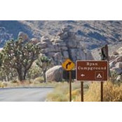 Ryan Lindner's photo