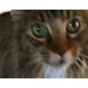 Stacy Sadar's photo