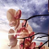 Thelma Sards's photo